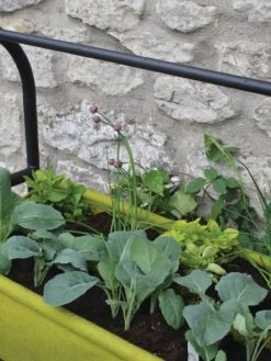 Vigoroot™ Self-Watering Easy Garden Planter -Outdoor Garden Supply Store 8609879 04V tif