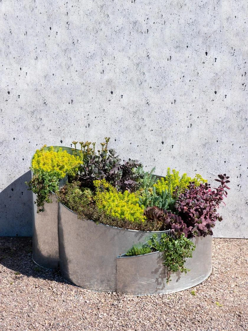 Curved Metal Raised Bed 2 Curved Metal Raised Bed - Image 2