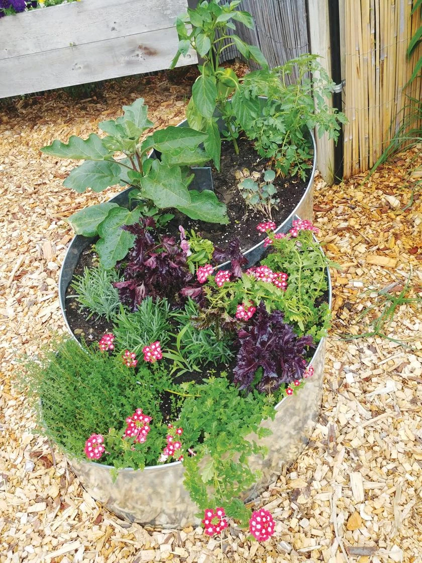 Curved Metal Raised Bed 1 Curved Metal Raised Bed