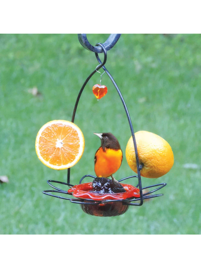 Birds Choice ™ Oriole Flower Feeder 2 Birds Choice ™ Oriole Flower Feeder - Image 2