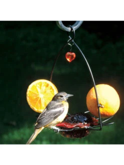 Birds Choice ™ Oriole Flower Feeder 6 Birds Choice ™ Oriole Flower Feeder -Outdoor Garden Supply Store 8610154 03v