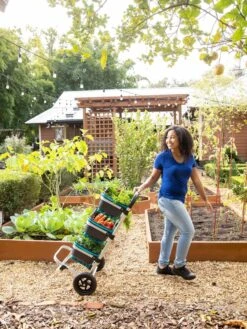 Mod Hod Trolley With Teal Mod Hods -Outdoor Garden Supply Store 8610240 0070 tif