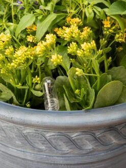 Adjustable Self-Watering Insert For Pots And Planters 19 Adjustable Self-Watering Insert For Pots And Planters -Outdoor Garden Supply Store 8610250 0010 tif