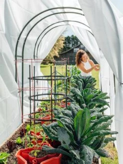 Maxi Garden Hoops With Clips 11 Maxi Garden Hoops With Clips -Outdoor Garden Supply Store 8610373 377 tif