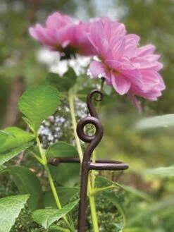 New Release -Outdoor Garden Supply Store 8610375 5701 tif