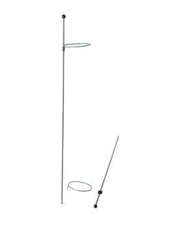 Peacock Mini Plant Support Rings 4", Set Of 2 -Outdoor Garden Supply Store 8610386 9566