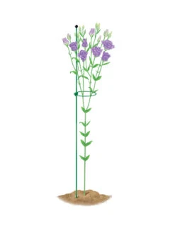 Peacock Mini Plant Support Rings 4", Set Of 2 -Outdoor Garden Supply Store 8610386 peacock4x36