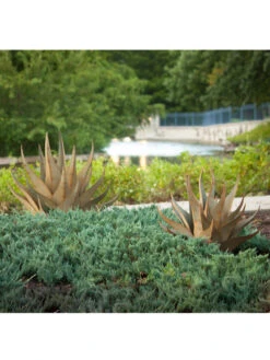 Desert Steel Sharkskin Agave Sculpture -Outdoor Garden Supply Store 8610753 05v