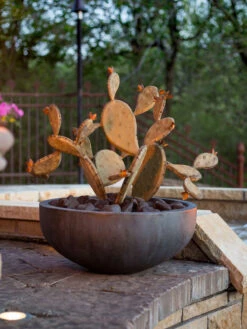 Desert Steel Prickly Pear Cactus Sculpture, Redondo -Outdoor Garden Supply Store 8610768 03v