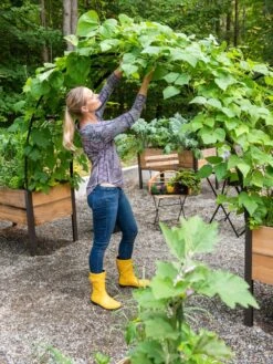 2’ X 8’ Arch Trellis For Planter Boxes -Outdoor Garden Supply Store 8610798 050 tif