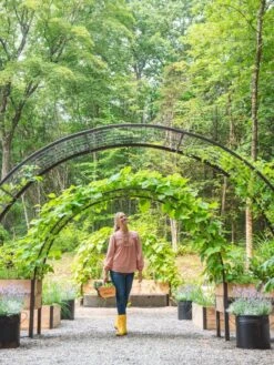 2’ X 8’ Arch Trellis For Planter Boxes -Outdoor Garden Supply Store 8610798 071 tif