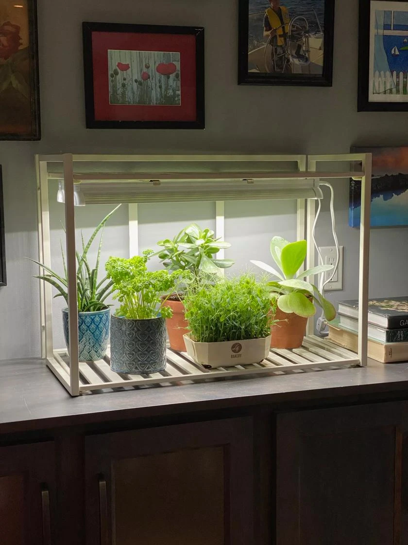 Oslo 1-Tier LED Grow Light Garden 4 Oslo 1-Tier LED Grow Light Garden - Image 4