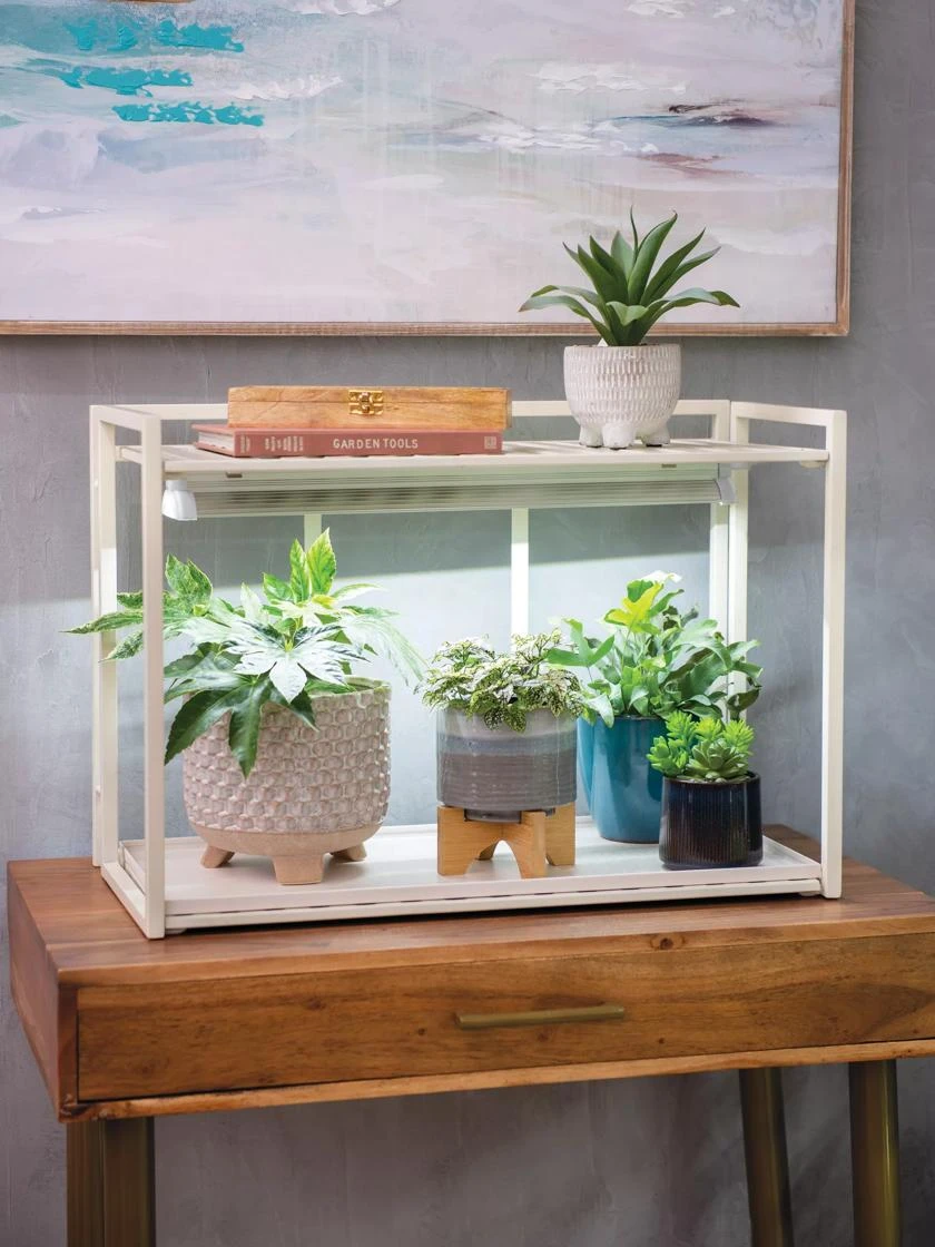 Oslo 1-Tier LED Grow Light Garden 2 Oslo 1-Tier LED Grow Light Garden - Image 2