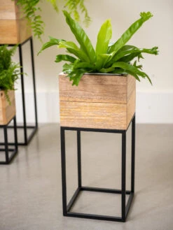 Tartu Elevated Square Planters 13 Tartu Elevated Square Planters -Outdoor Garden Supply Store 8611005 035