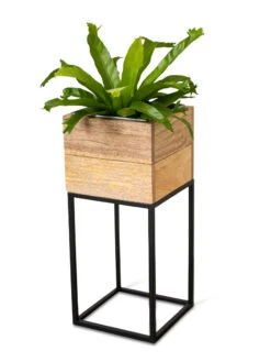 Tartu Elevated Square Planters 18 Tartu Elevated Square Planters -Outdoor Garden Supply Store 8611005 036