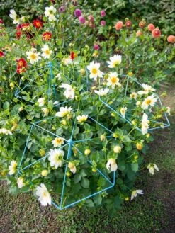 New Release -Outdoor Garden Supply Store 8611129 004 tif