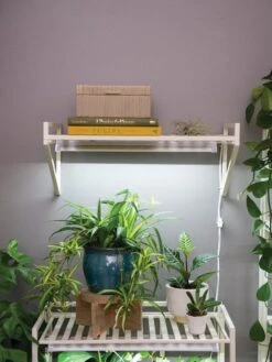 Outdoor Garden Supply Store -Outdoor Garden Supply Store 8611516 8400 tif