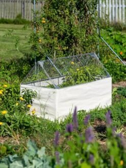 Crop Coop Covers Set -Outdoor Garden Supply Store 8611698 005 tif