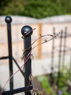 Essex Square Obelisk -Outdoor Garden Supply Store 8611984 278 tif