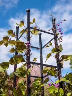 Essex Square Obelisk -Outdoor Garden Supply Store 8611984 354 tif