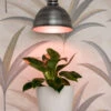 Florabooster® LUM 500-Z LED Plant Light