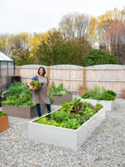 Somerset Metal Raised Beds, As Is -Outdoor Garden Supply Store 8612020 0016 tif