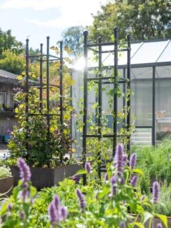 New Release -Outdoor Garden Supply Store 8612046 346 tif