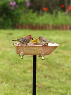 Copper Bathtub Birdbath -Outdoor Garden Supply Store 8612202 01v copper bathtub birdbath