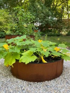 Birdies™ Corten Steel Round Raised Beds -Outdoor Garden Supply Store 8612422 0484 tif