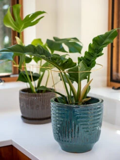 New Release -Outdoor Garden Supply Store 8612662 0048