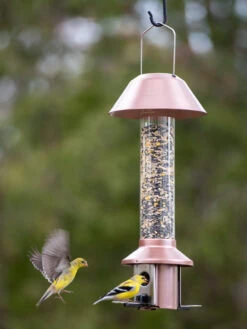 Roamwild PestOff™ Squirrel Proof Bird Feeder