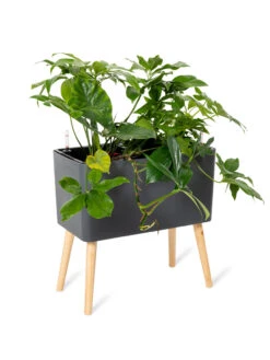 Ava Self-Watering Rectangular Planter 12 Ava Self-Watering Rectangular Planter -Outdoor Garden Supply Store 8612691 0013