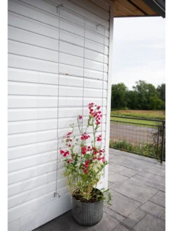 Chicken Wire Wall Trellis -Outdoor Garden Supply Store 8612717 0081