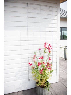 Chicken Wire Wall Trellis -Outdoor Garden Supply Store 8612717 0093