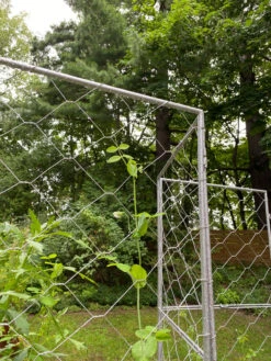 Chicken Wire Pea Trellis -Outdoor Garden Supply Store 8612718 7302