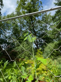 Chicken Wire Pea Trellis -Outdoor Garden Supply Store 8612718 7311