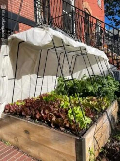 Cotton All Purpose Garden Cover 9 Cotton All Purpose Garden Cover -Outdoor Garden Supply Store 8612816 01CUST