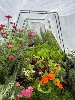 All-Purpose Garden Fabric -Outdoor Garden Supply Store 8612816 01TEST