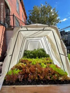 Cotton All Purpose Garden Cover 10 Cotton All Purpose Garden Cover -Outdoor Garden Supply Store 8612816 03CUST