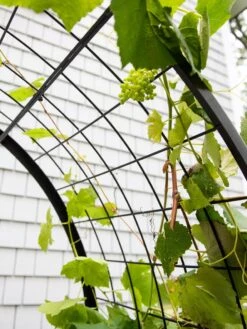 2’ X 4’ Arch Trellis For Planter Boxes -Outdoor Garden Supply Store 8612976 0436