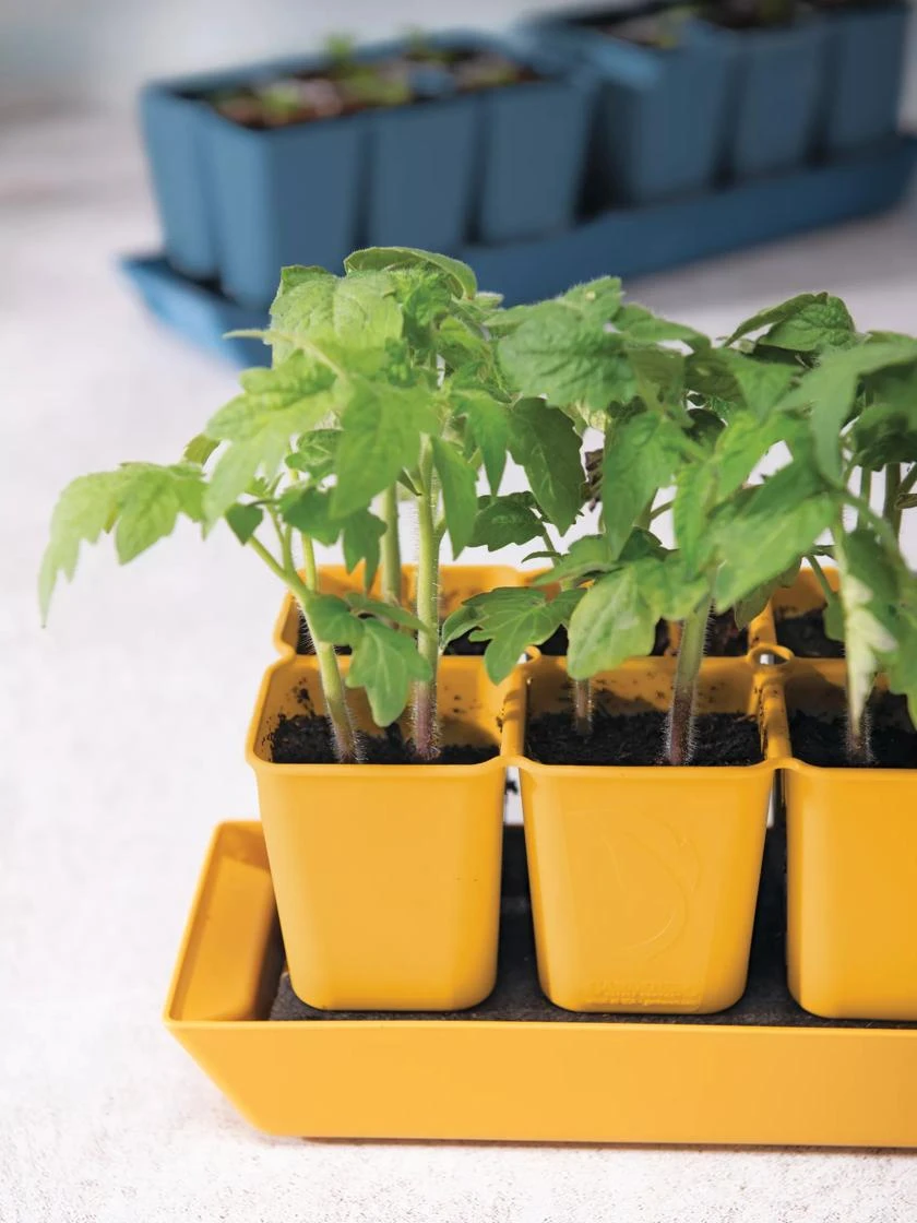 Gardener's Best® XL Seed Starting Kit 1 Gardener's Best® XL Seed Starting Kit