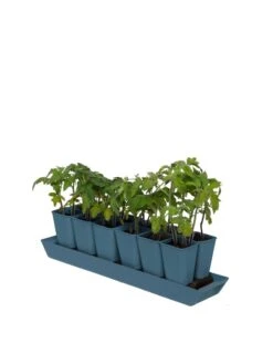 Gardener's Best® XL Seed Starting Kit 16 Gardener's Best® XL Seed Starting Kit -Outdoor Garden Supply Store 8613066 0029