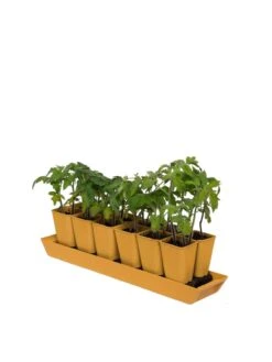 Gardener's Best® XL Seed Starting Kit 14 Gardener's Best® XL Seed Starting Kit -Outdoor Garden Supply Store 8613066 1029