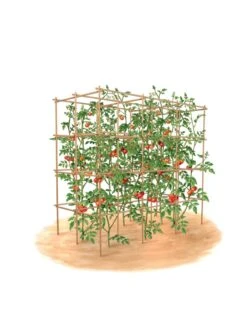 Tomato Six Pack Support 15 Tomato Six Pack Support -Outdoor Garden Supply Store 8613143 art flat