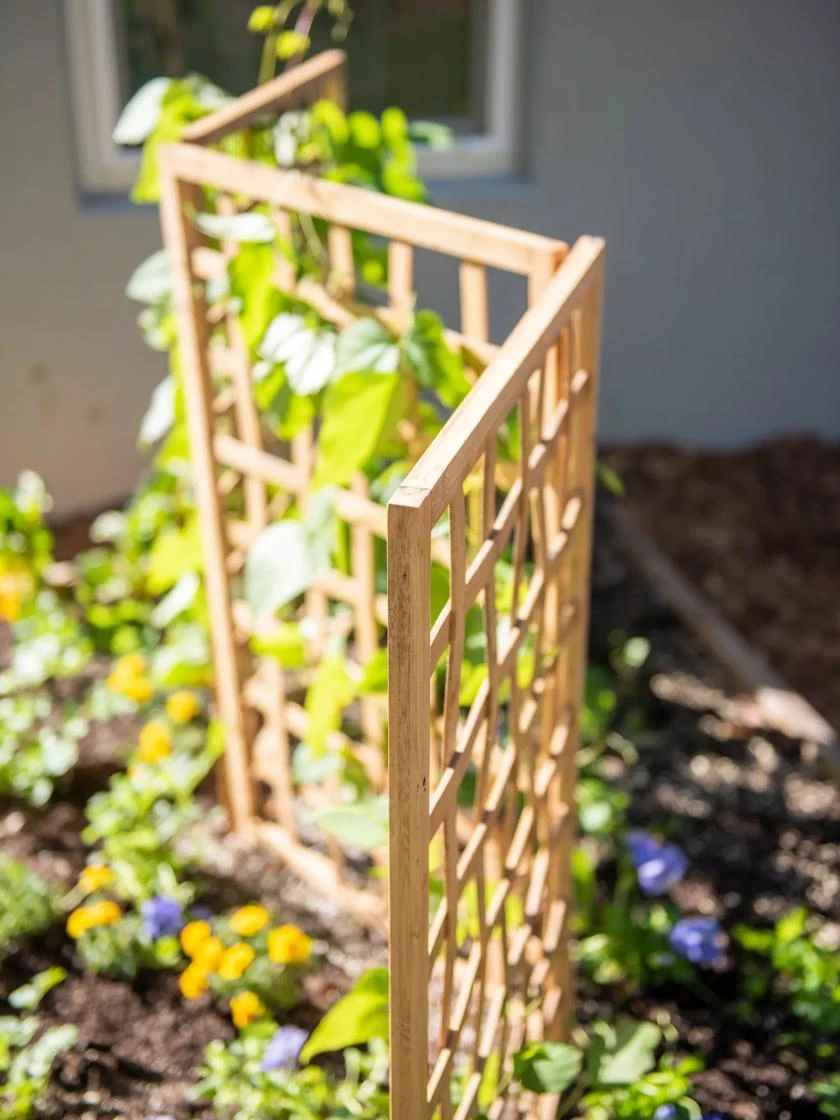 Bamboo Zig-Zag Trellis 24" X 36" 3 Bamboo Zig-Zag Trellis 24" X 36" - Image 3