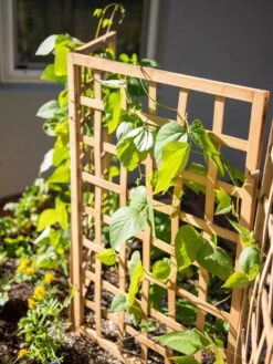 Bamboo Zig-Zag Trellis 24" X 36" 14 Bamboo Zig-Zag Trellis 24" X 36" -Outdoor Garden Supply Store 8613151 6467
