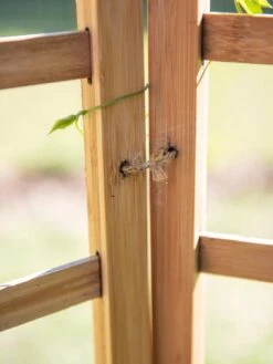 Bamboo Zig-Zag Trellis 24" X 36" 15 Bamboo Zig-Zag Trellis 24" X 36" -Outdoor Garden Supply Store 8613151 6483