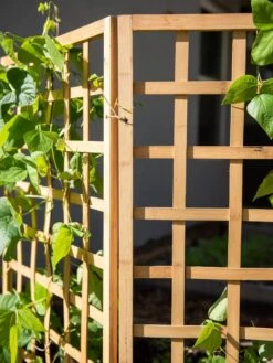 Bamboo Zig-Zag Trellis 24" X 36" 16 Bamboo Zig-Zag Trellis 24" X 36" -Outdoor Garden Supply Store 8613151 6491