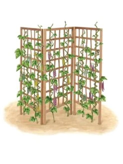 Bamboo Zig-Zag Trellis 24" X 36" 18 Bamboo Zig-Zag Trellis 24" X 36" -Outdoor Garden Supply Store 8613151 art flat