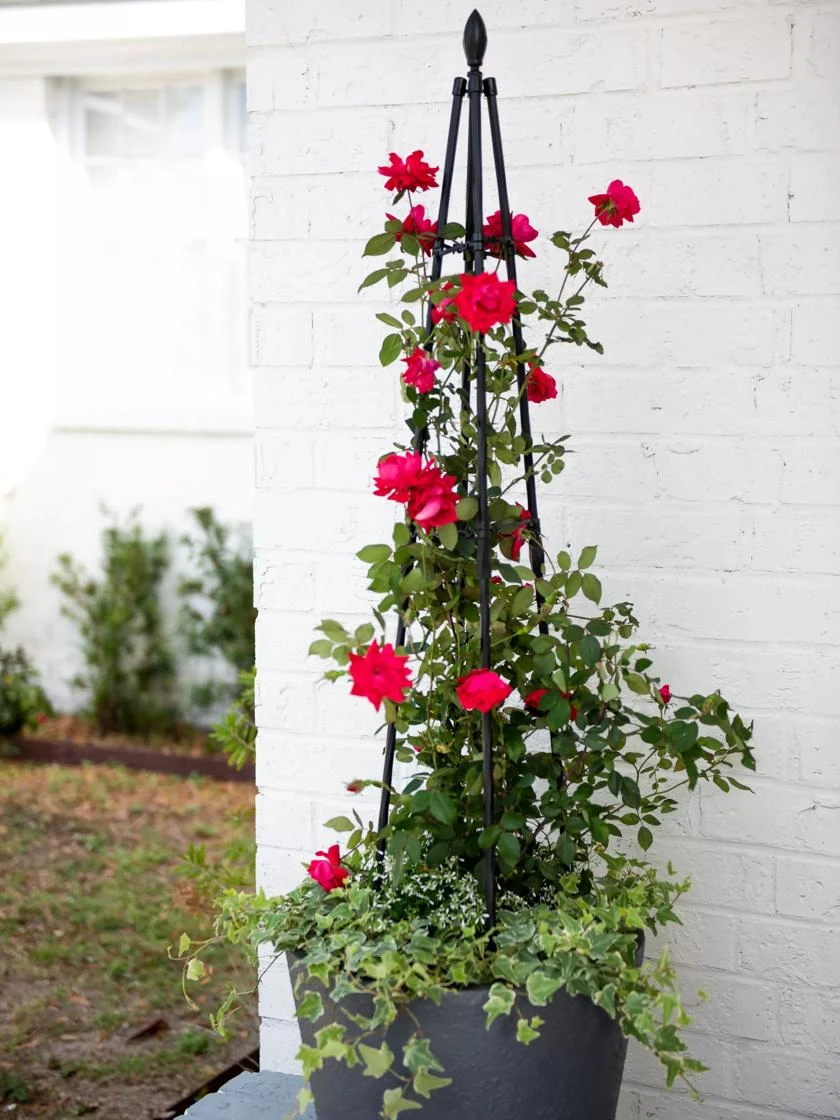 Teardrop Teepee Trellis, 47.25" 1 Teardrop Teepee Trellis, 47.25"